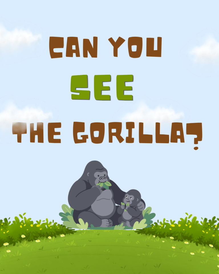 Do You See the Gorilla?  …. Passing the “Selective Attention Test”?